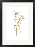 Gold Line Carnation II Framed Print