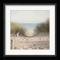 Beach Grasses Fine Art Print