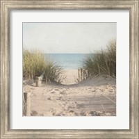 Beach Grasses Fine Art Print