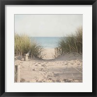 Beach Grasses Fine Art Print