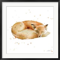 Sleeping Fox Fine Art Print
