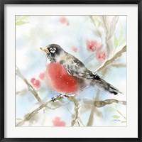 Spring Robin Fine Art Print