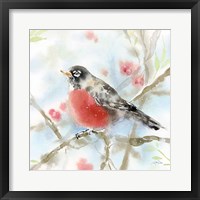 Spring Robin Framed Print
