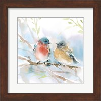 Bluebird Pair in Spring Fine Art Print