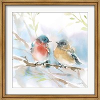 Bluebird Pair in Spring Fine Art Print