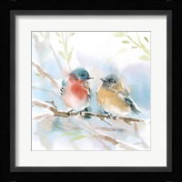 Bluebird Pair in Spring Framed Print