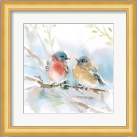 Bluebird Pair in Spring Fine Art Print