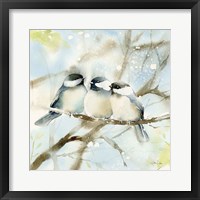 Three Chickadees in Spring Sq Fine Art Print