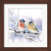 Bluebird Pair Fine Art Print