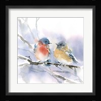 Bluebird Pair Framed Print