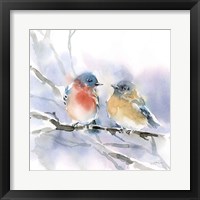 Bluebird Pair Framed Print