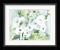 White Hollyhocks Fine Art Print