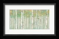 Birchs at Sunrise Gold Crop Fine Art Print