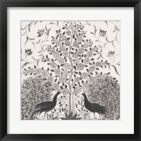 Peacock Garden VIII BW Fine Art Print