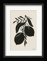 Lemon Silhouette II Framed Print