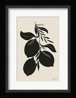 Lemon Silhouette I Framed Print