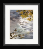 Branches and Ripples Fine Art Print