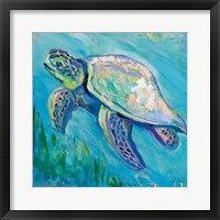 Sea Turtle Swim Light Flipped Framed Print