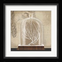 Coral Cloche II Fine Art Print