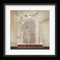 Coral Cloche I Fine Art Print