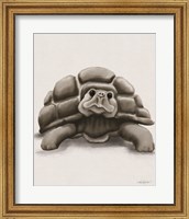 Torty the Turtle Fine Art Print