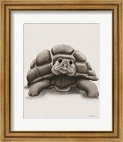 Torty the Turtle Fine Art Print