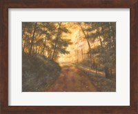 Golden Forest Fine Art Print