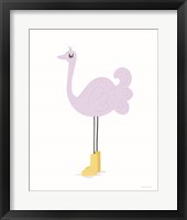 Ostrich Framed Print