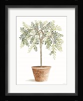 Topiary I Fine Art Print