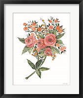 Botanical Ranunculus Framed Print