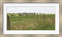 Along the Country Road Fine Art Print