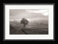 Morning Haze II Fine Art Print