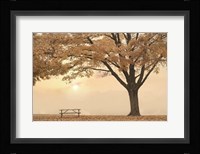 Perfect Picnic Spot Fine Art Print