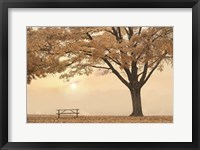 Perfect Picnic Spot Fine Art Print