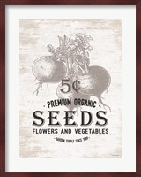Seeds Fine Art Print
