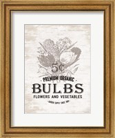 Bulbs Fine Art Print