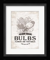 Bulbs Framed Print