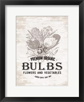 Bulbs Framed Print