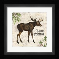 Moose Crossing Framed Print