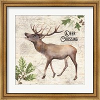 Deer Crossing Fine Art Print