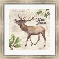 Deer Crossing Fine Art Print
