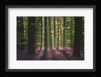 Perfect Spring Scene Fine Art Print