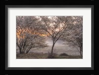 Spring Bushes Fine Art Print