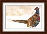 Pheasant 1 Fine Art Print