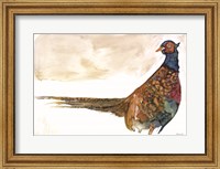 Pheasant 1 Fine Art Print