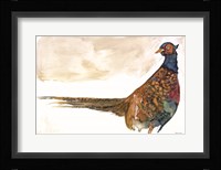 Pheasant 1 Fine Art Print