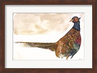 Pheasant 1 Fine Art Print