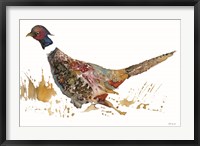 Pheasant 2 Fine Art Print