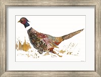 Pheasant 2 Fine Art Print