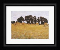 The Field Fine Art Print
